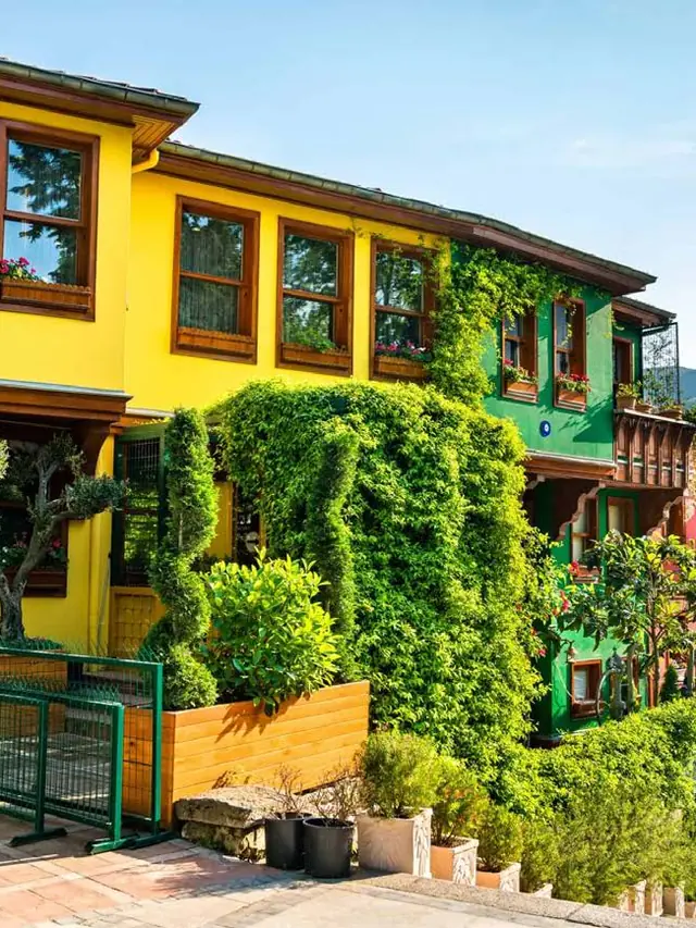 Colourful historic Ottoman houses in the village of Cumalıkızık