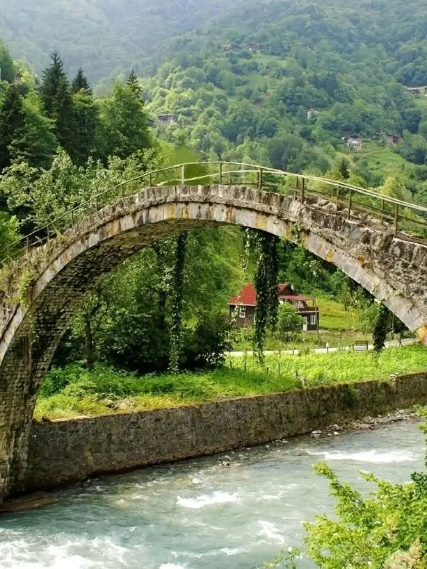 A stone arch bridge over a stream running through the forest in the Black Sea region