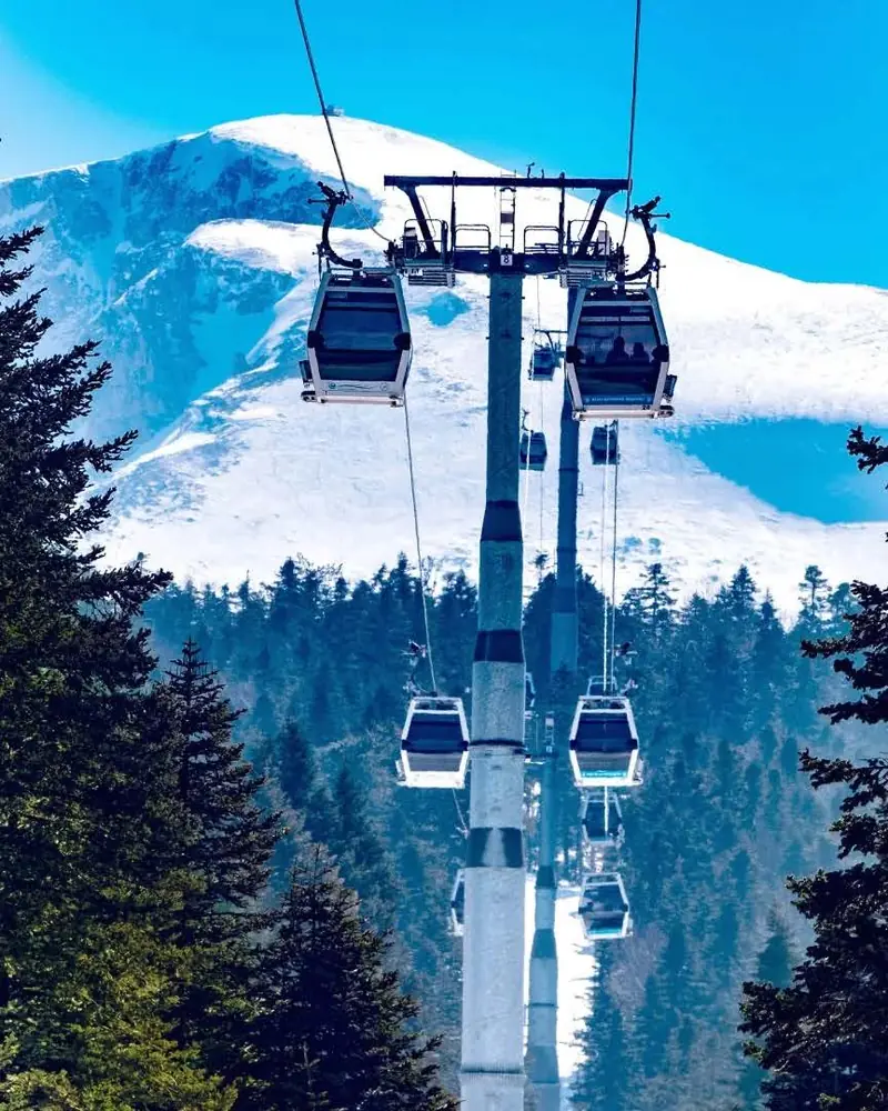 A cable car passing over a snow-covered pine forest on Uludağ