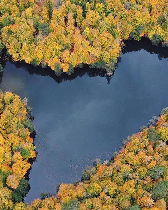 A heart-shaped lake among autumn colours in Yedigöller National Park
