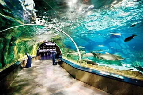 The glass tunnel at Istanbul Aquarium
