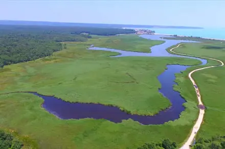 Aerial view of the İğneada longoz forest and a winding stream