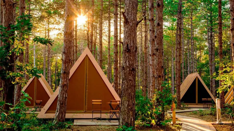 Wooden camping tents in the forest at İğneada