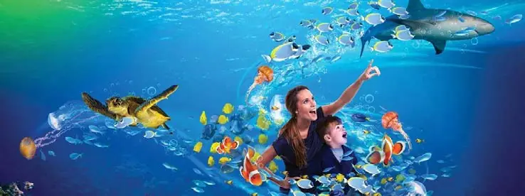 SEA LIFE'ta denizaltı dünyası