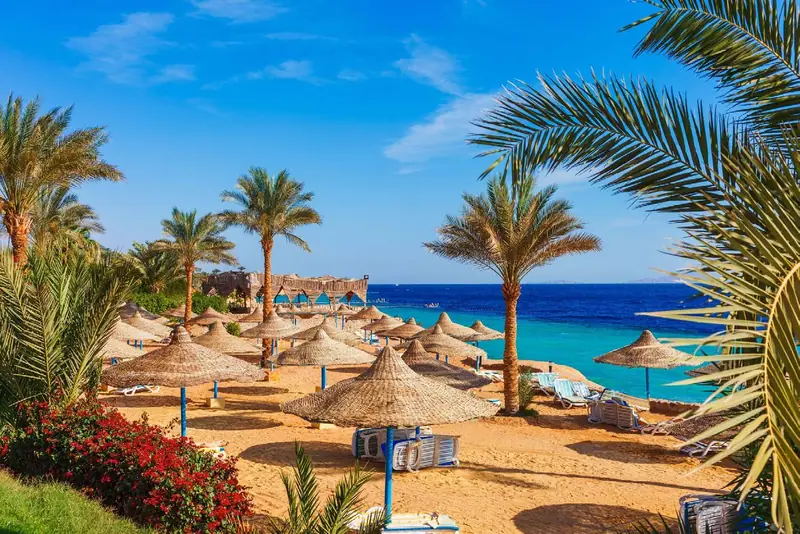 Sharm El Sheikh'te hasır şemsiyeli plaj ve Kızıldeniz
