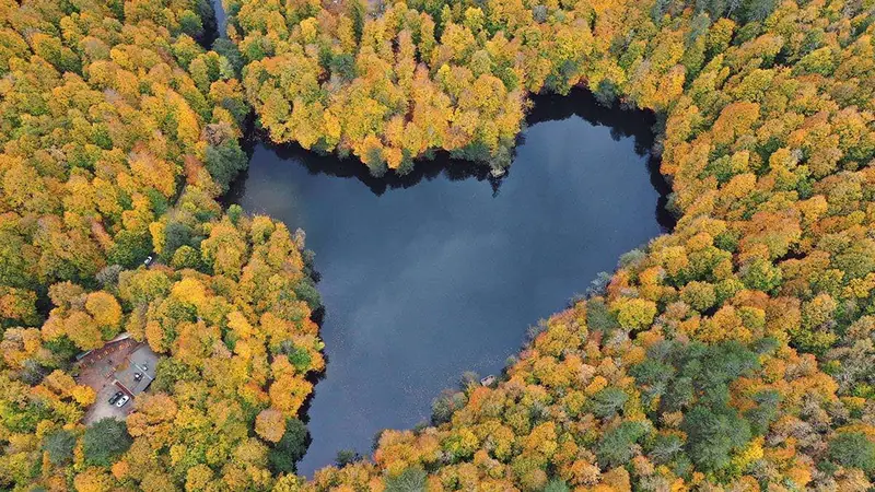A heart-shaped lake surrounded by forest in autumn